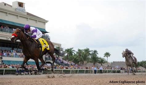 Florida Derby 2024 .